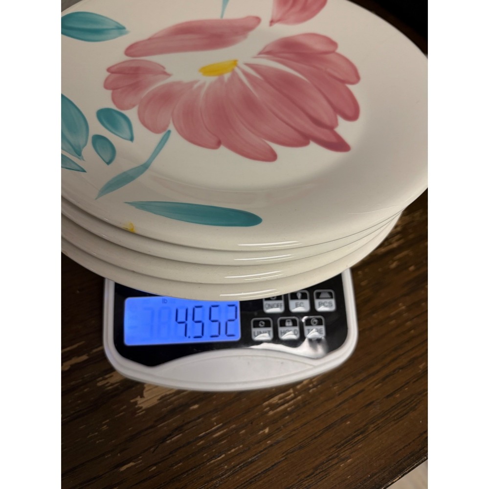 Pier 1 Imports Hand Painted Italy Pink Floral Ceramic Plates Set of 4 Teal 8.25" - Picture 8 of 8